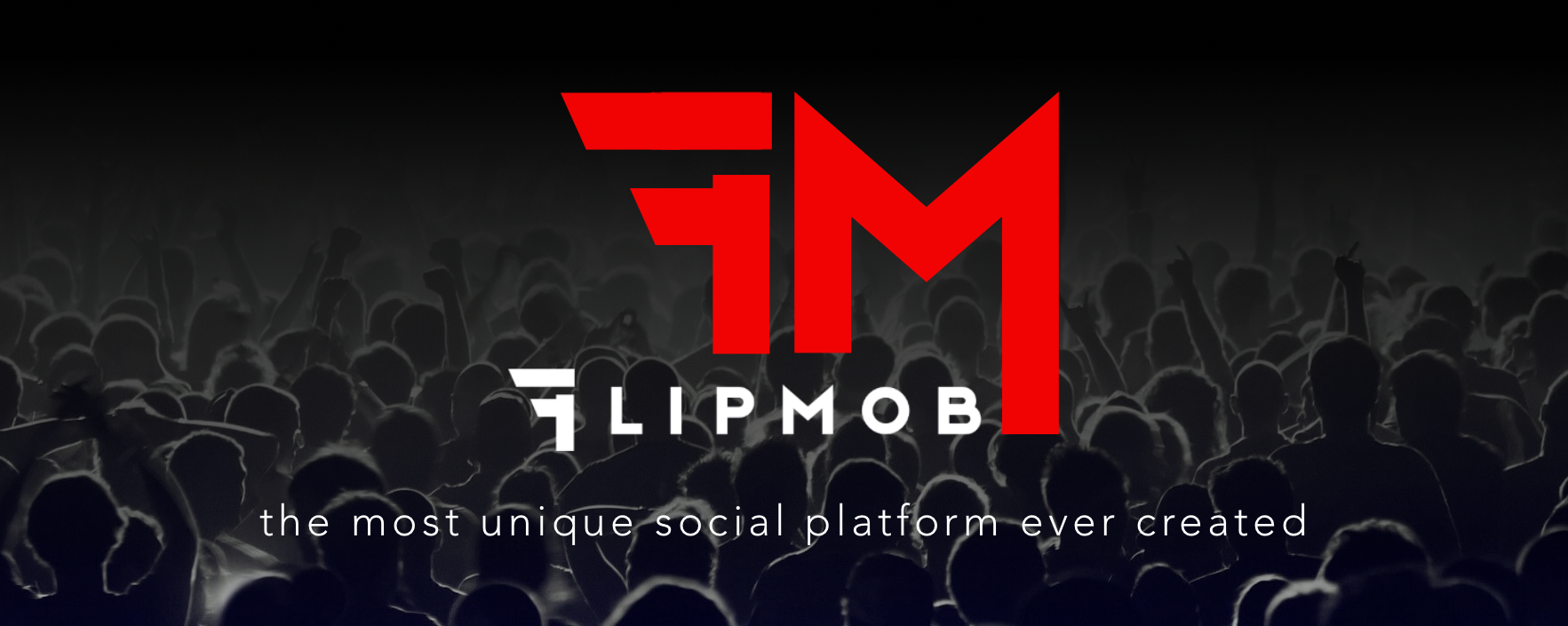 Help FlipMob Reach $1M in 1st Year Sales/Revenue